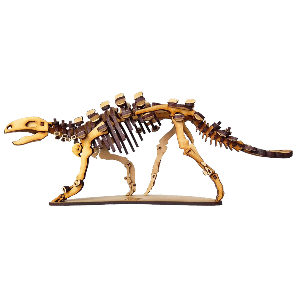 stegouros-elengassen-3d-dinosaur-puzzle-skeleton-wonder-artistic-models