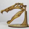 craneo-spinosaurus-wonder-artistic-models