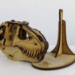 Tyrannosaurus rex skull