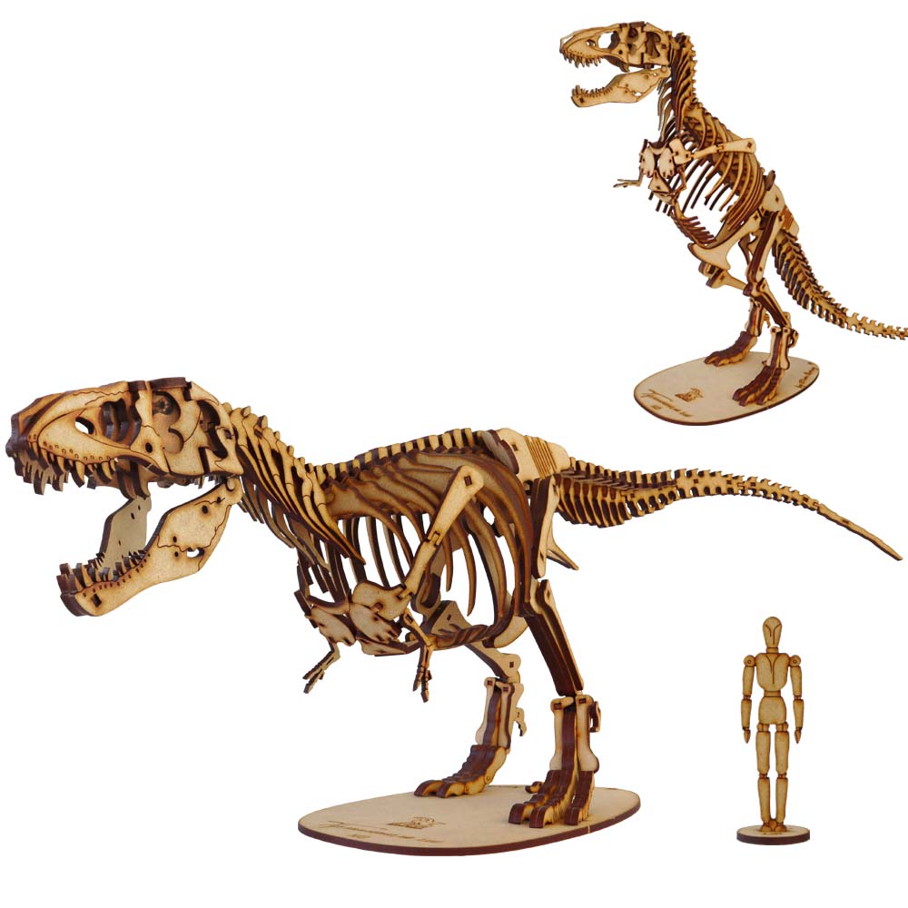 3D Wooden T. Rex Model Kit - 